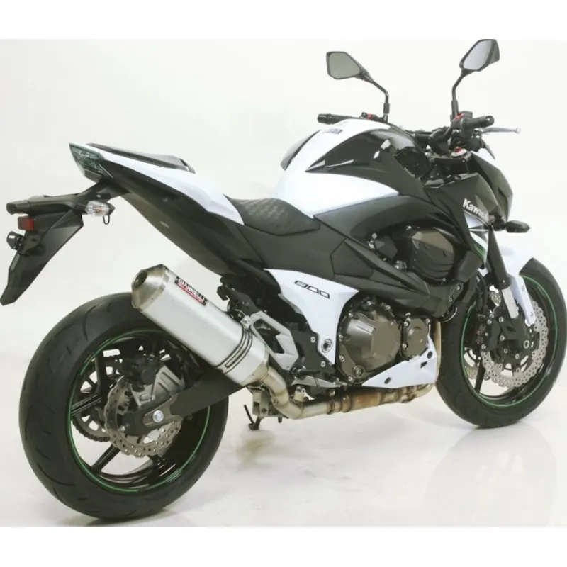 Jetzt Bestellen Auspuffanlage Giannelli Ipersport Slip On Aluminium mit ABE für Kawasaki