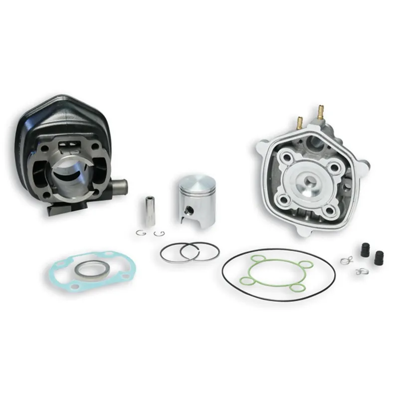 Zylinderkit Malossi Sport 50ccm für Minarelli liegend LC, Yamaha Aerox Cat, Aprilia SR Racing LC MBK Nitro Jog RR R Naked Malaguti F15 Firefox Rally Sichere Zahlung