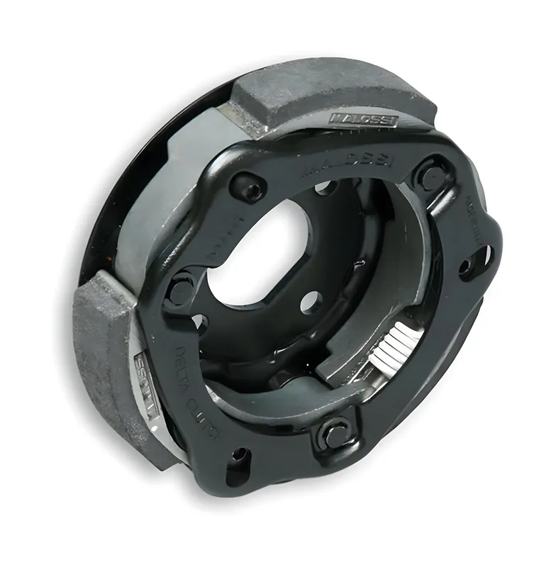 Günstig Kupplung Malossi DELTA CLUTCH für Minarelli / Aprilia SR 2000 (d.107mm)