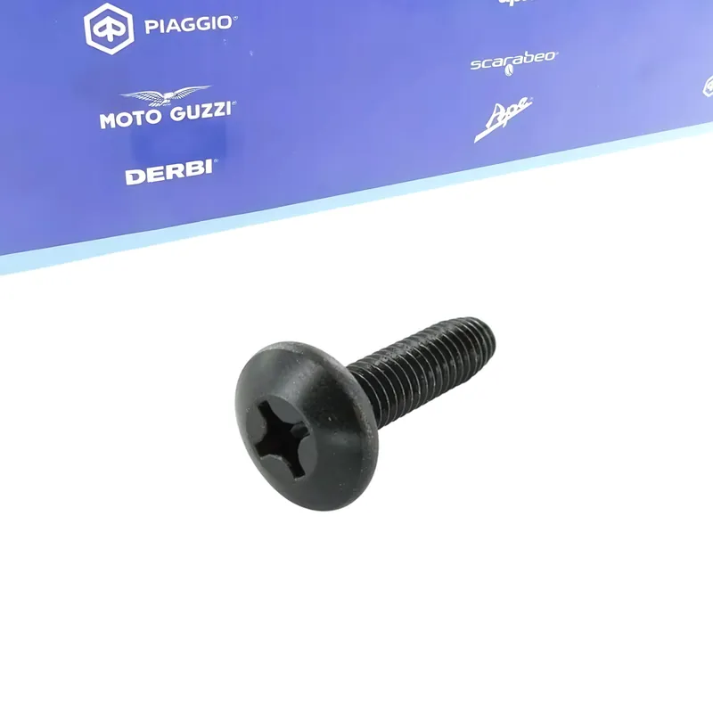 Expressversand Schraube Piaggio, M6x22mm für Vespa GTS i.e. Touring 4V HPE 3 Yacht Club Super Tech Sport Sei Giorni, Piaggio Typhoon 50 Gilera Runner 180 FXR Skipper