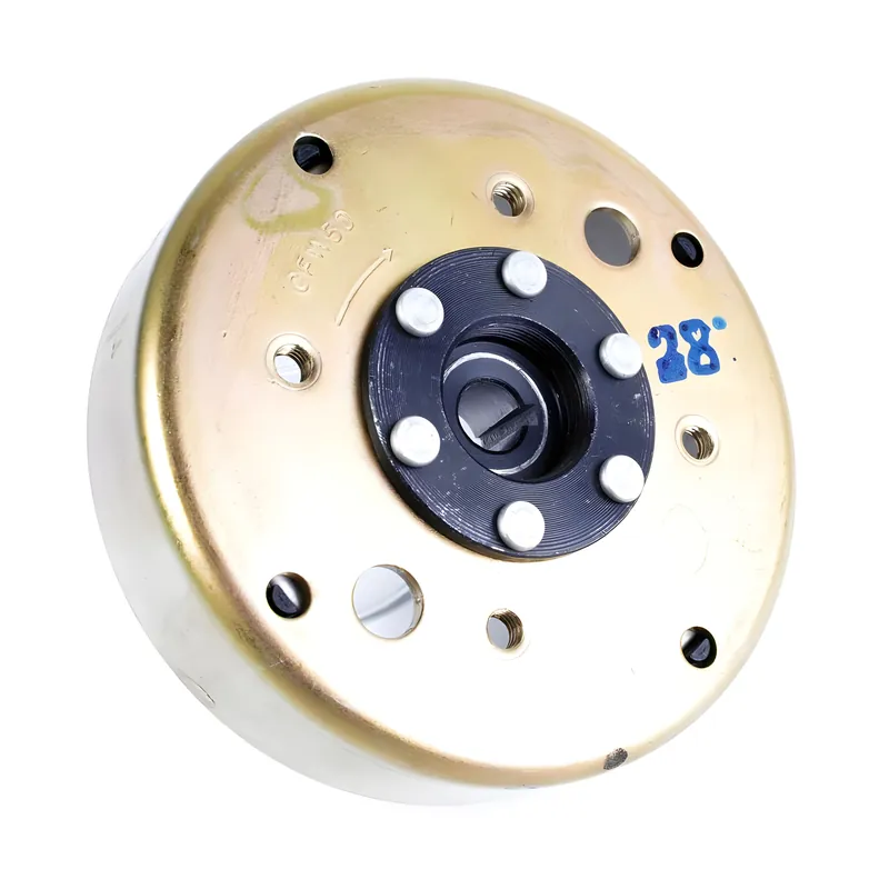 Polrad / Stator GY6 50ccm 4-Takt Schneller Versand