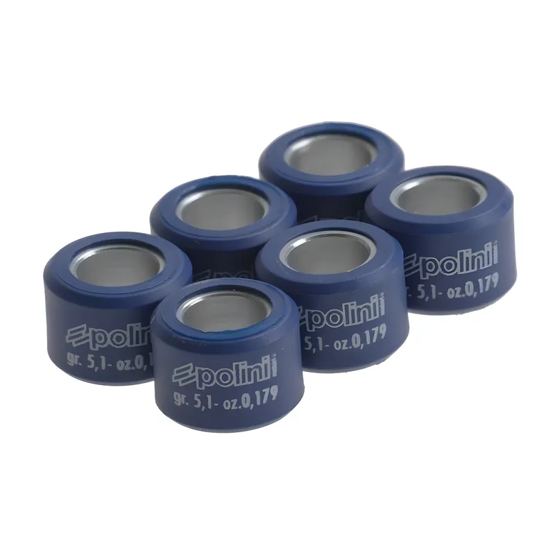Variomatikgewichte Polini Satz Variorollen 17x12mm, 7,1g Jetzt Kaufen