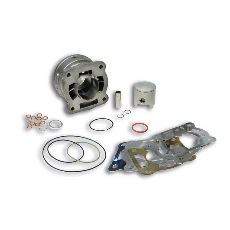 Zertifiziert Zylinder Malossi 70ccm Aluminium LC für Gilera Runner, Aprilia SR R LC Street Piaggio NRG Power MC2 MC3 Racing Extreme DNA Funmaster Quartz Derbi GP1