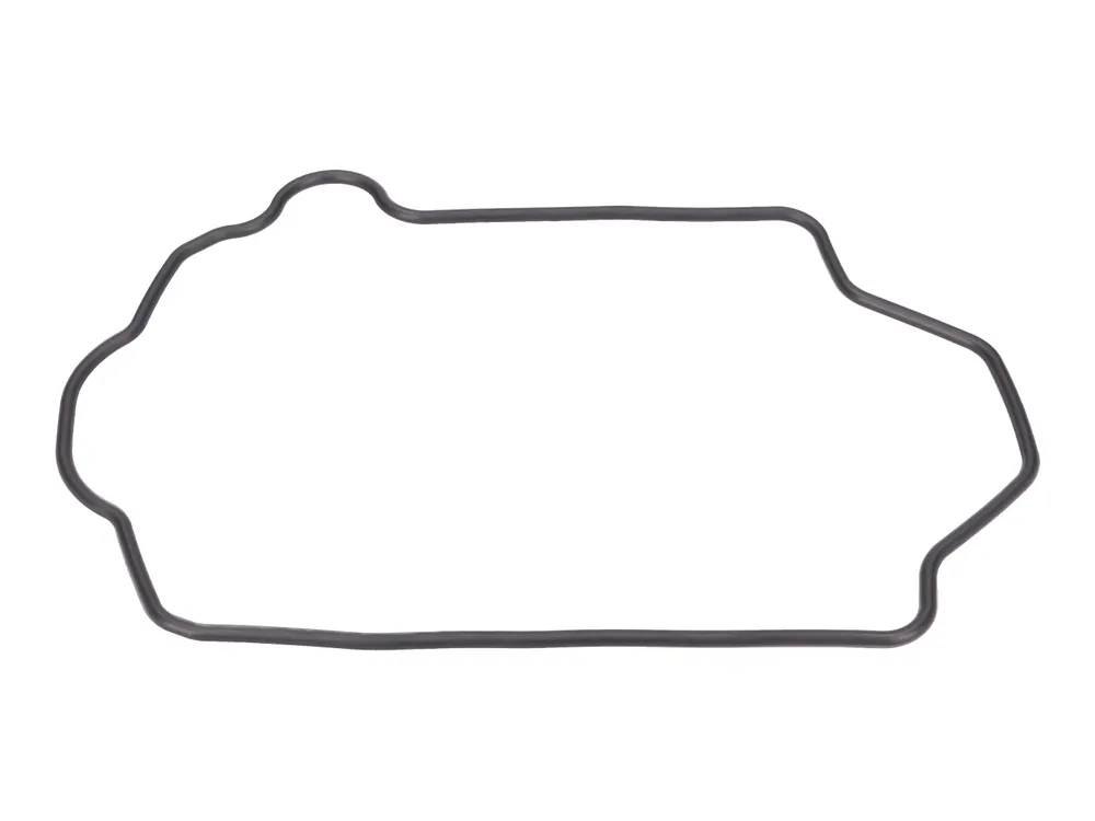 Dichtring Derbi, 829817 für Piaggio Typhoon 2V Fly, Aprilia SR Motard Sportcity One Liberty RST Vespa LX Skipper LXT Derbi Variant Sport S X8 Mojito Ausverkauf