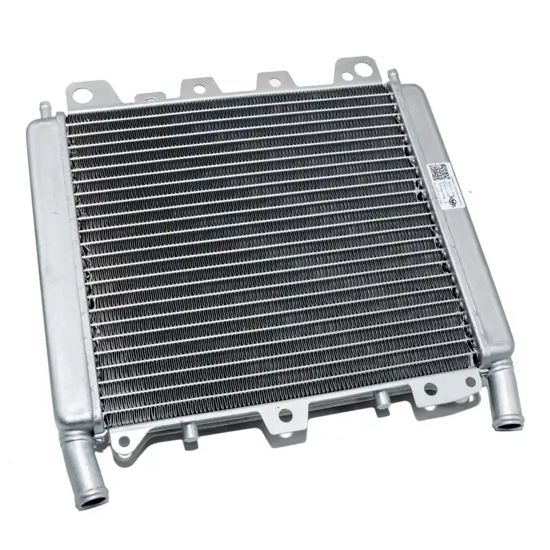 Expressversand Wasserkühler Piaggio für Beverly 125 / 300 RST, 656528