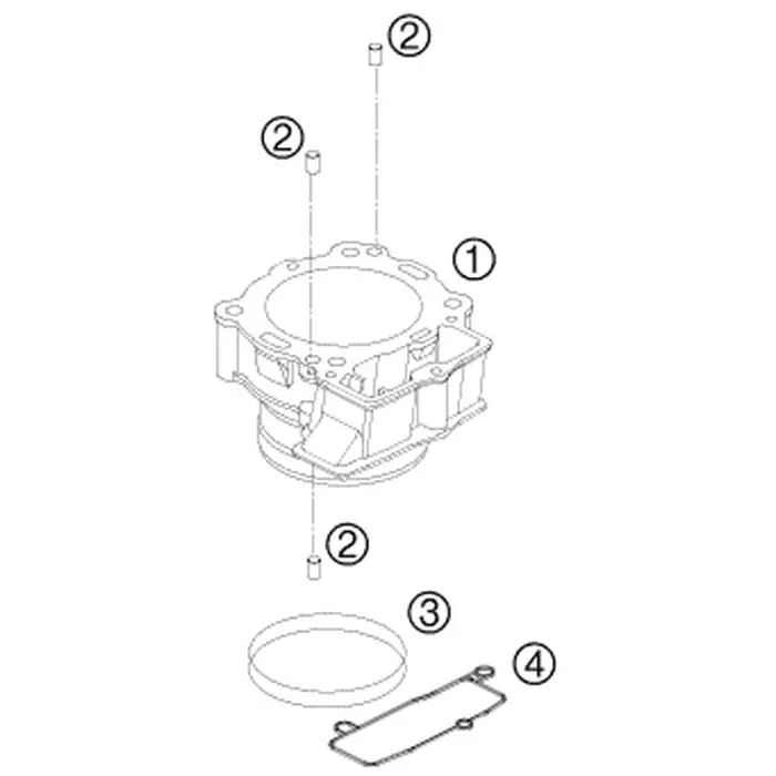 O-RING 107,67X1,78 VITON Echt