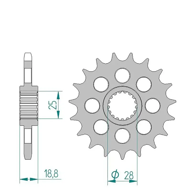 Saisonangebot AFAM Ritzel 525 19 Zähne