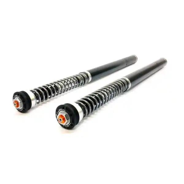 Jetzt Kaufen TRIUMPH Tiger 900 Rally (Pro) 2020 - 2025 TracTive Cartridge kit X-TREME